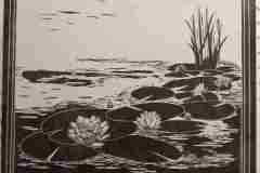 Steamroller_Water-Lillies